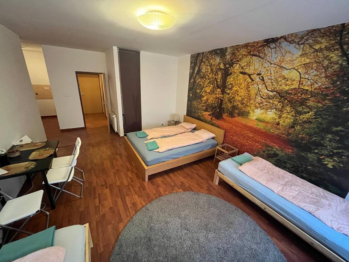 Apartments Spolkova 布尔诺 外观 照片