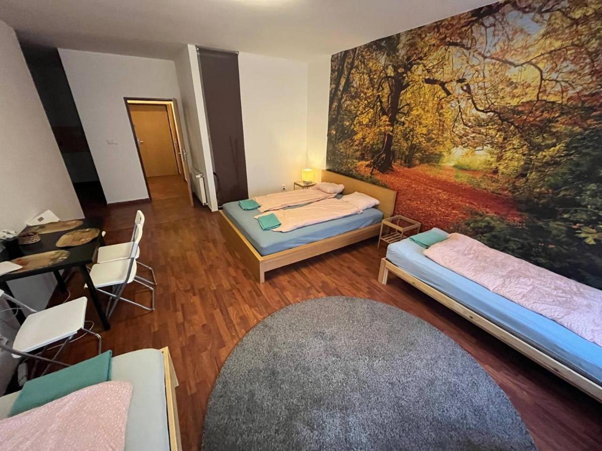 Apartments Spolkova 布尔诺 外观 照片