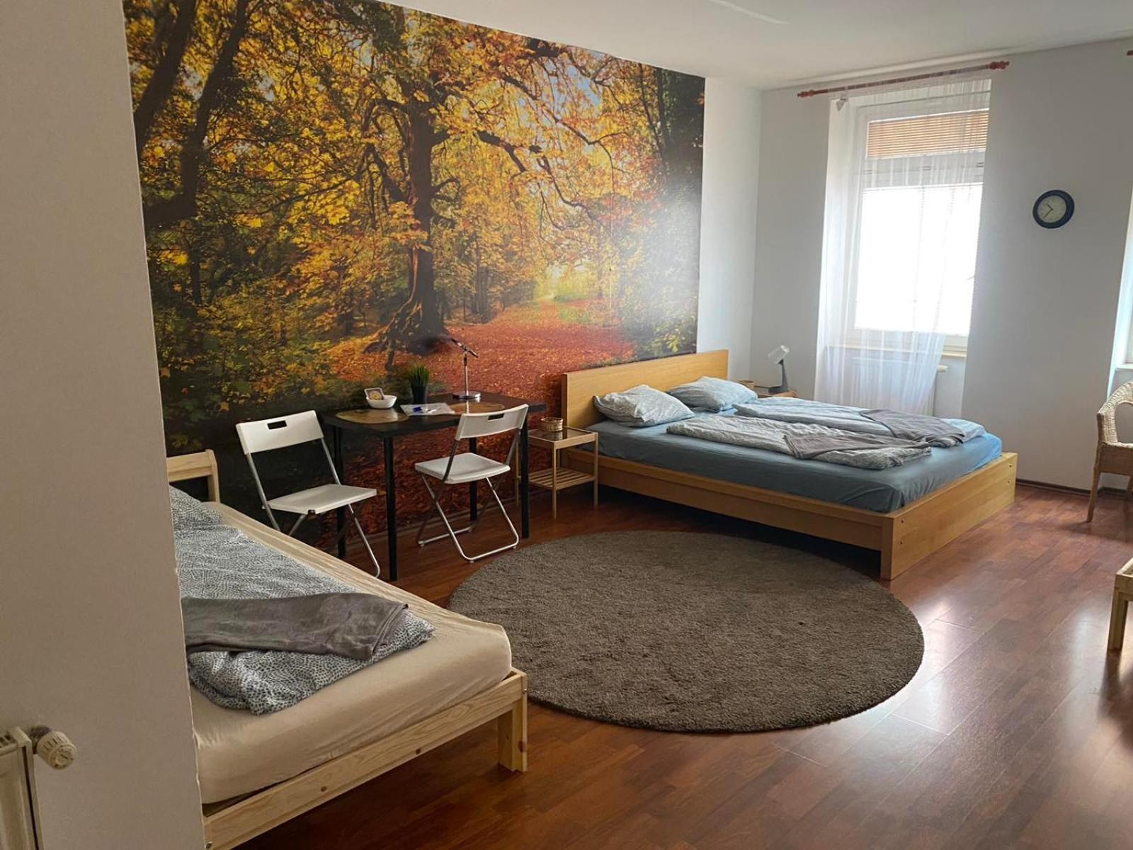 Apartments Spolkova 布尔诺 外观 照片